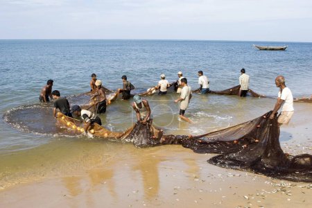 Téléchargez les photos : Pêcheurs pêchant avec un gros filet dans la mer ; Village Bhogwe ; Konkan ; District Sindhudurga ; Maharashtra ; Inde - en image libre de droit