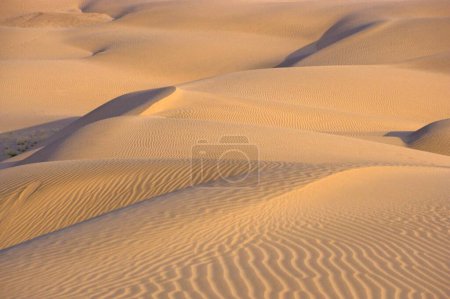 Sand, Dünen, Khuri, Jaisalmer, Rajasthan, Indien