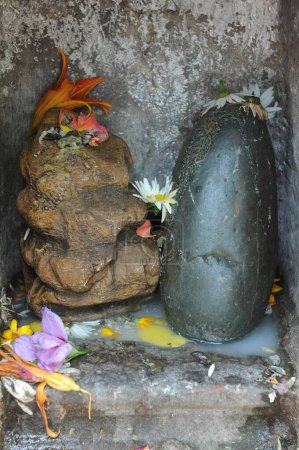 Estatua, mata kheer bhawani templo, Srinagar, jammu Cachemira, India, asia