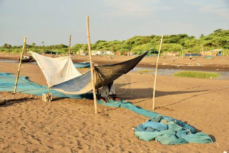Foto de Pescador reparación de la red de pesca, Surwada Beach, Gujarat, India, Asia - Imagen libre de derechos