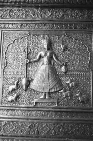 Karni mata au temple Rat, Bikaner, Rajasthan, Inde