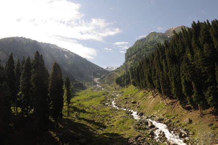 Landscape, pahalgam to chandanwari, amarnath yatra, jammu Kashmir, india, asia