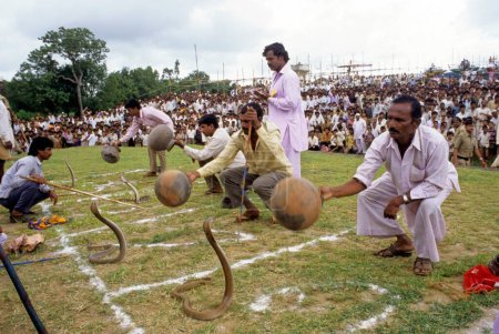 Téléchargez les photos : Snake Competition, Battis Shirala, Maharashtra, Inde - en image libre de droit