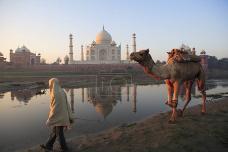 Téléchargez les photos : Homme portant un chameau au Taj Mahal Septième merveilles du monde sur la rive sud du fleuve Yamuna, Agra, Uttar Pradesh, Inde Site du patrimoine mondial de l'UNESCO - en image libre de droit
