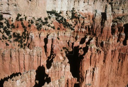 Foto de Bryce Canyon, Utah, Estados Unidos de América - Imagen libre de derechos