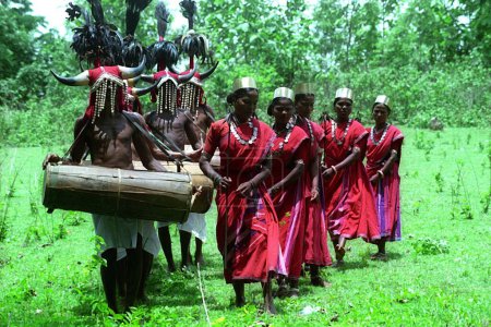 Photo for Tribal dance, bison horn madia, Chhattisgarh, India - Royalty Free Image