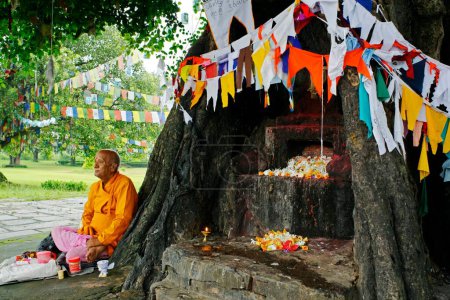 Photo for Holy man sitting, UNESCO World Heritage site, Gautam Buddhas birthplace at Lumbini, Nepal - Royalty Free Image