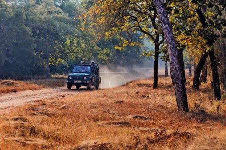 Photo for Jeep on forest path, Tadoba Wildlife Sanctuary, Chandrapur, Maharashtra, India, Asia - Royalty Free Image
