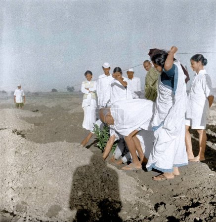 Photo for Mahatma Gandhi planting tree with Abha Gandhi, Wardha, Maharashtra, India, Asia, 1941 - Royalty Free Image