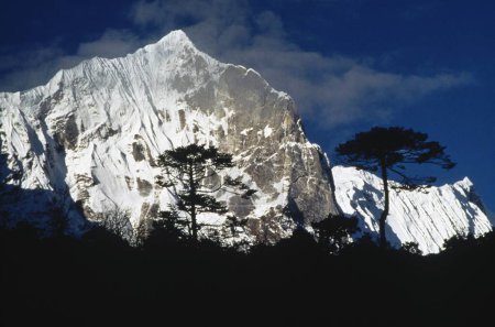 Kharka, colonie estivale sur le chemin du lac Gokyo, 4750 mètres, région du mont Everest, Népal