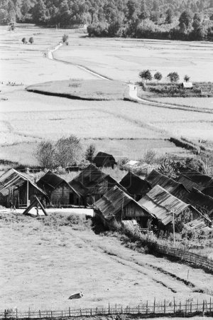 Photo for Rice field adjoining Ziro headquarters of Lower Subansiri district ; Arunachal Pradesh ; India 1982 - Royalty Free Image
