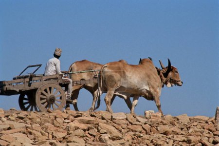 Foto de Carro de buey en India - Imagen libre de derechos