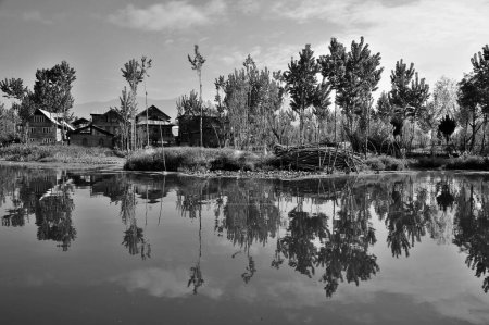 Photo for Houses, Nagin Lake, Dal Lake, Srinagar, Kashmir, Jammu and Kashmir, India, Asia - Royalty Free Image