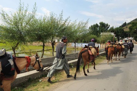 Téléchargez les photos : Homme marchant avec cheval sur la route, Srinagar, jammu Cachemire, Inde, Asie - en image libre de droit
