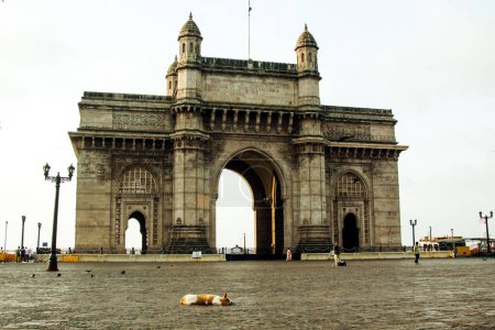 Foto de Perro durmiendo, Puerta de la India, Apollo Bunder, Colaba, Mumbai, Maharashtra, India, Asia - Imagen libre de derechos