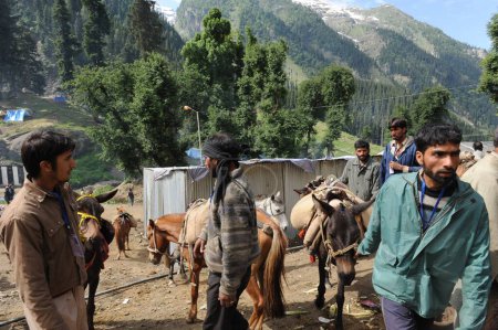 Téléchargez les photos : Personnes avec cheval, amarnath yatra, jammu Cachemire, Inde, Asie - en image libre de droit