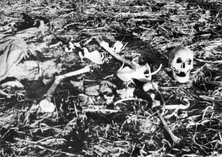Foto de Un esqueleto humano en Noakhali Bengala Oriental después de los disturbios entre hindúes y musulmanes, noviembre de 1946, India - Imagen libre de derechos