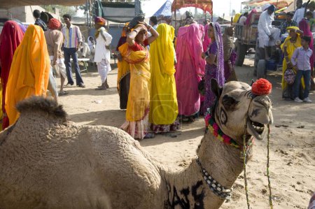 Foto de Gente en feria de camellos, pushkar, rajasthan, india, asia - Imagen libre de derechos
