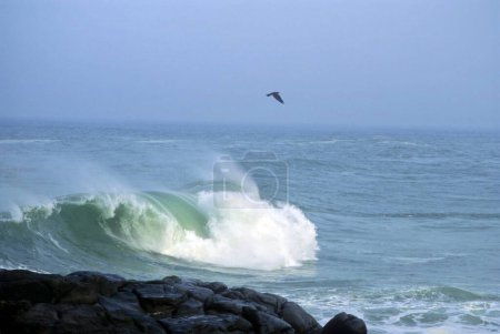 waves ; kovalam beach ; trivandrum ; kerala ; india