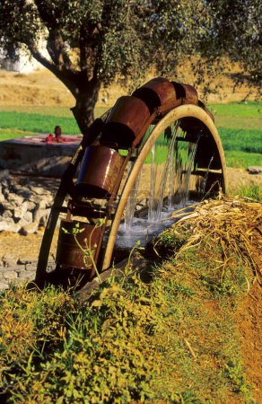Pompage d'eau de Kolu par le boeuf, Udaipur, Rajasthan, Inde