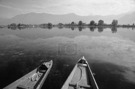Photo for Two shikaras, Nagin Lake, Dal Lake, Srinagar, Kashmir, Jammu and Kashmir, India, Asia - Royalty Free Image