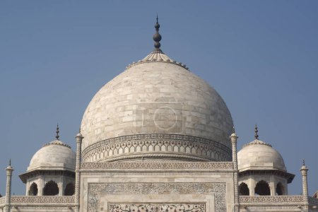 Téléchargez les photos : Dome of Taj Mahal Agra Uttar Pradesh India Asia - en image libre de droit