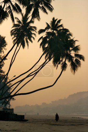 Silhouette einer Frau, die allein unter Kokospalmen an der Küste von Murud Janjira geht; Distrikt Raigad; Maharashtra; Indien