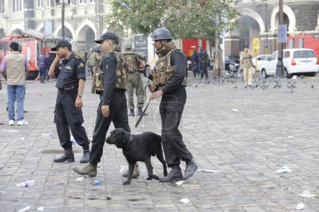 Téléchargez les photos : Des commandos du NSG avec un chien renifleur devant l'hôtel Taj Mahal, après l'attaque terroriste de Deccan Moudjahidin le 26 novembre 2008 à Bombay Mumbai, Maharashtra, Inde - en image libre de droit