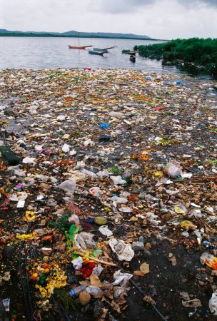 Foto de Contaminación del agua basura Gorai Creek, Bombay Mumbai, Maharashtra, India - Imagen libre de derechos
