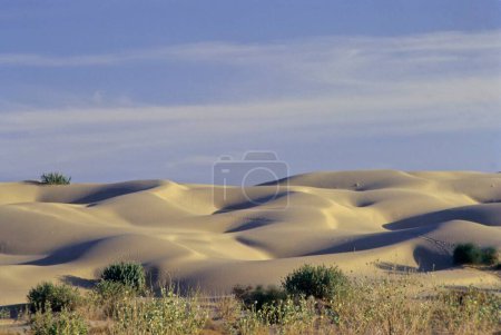 Sand; Dünen; Khuri; Jaisalmer; Rajasthan; Indien