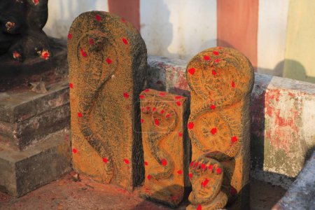 Schlangengötter im Shore Tempel Komplex; Mahabalipuram; Distrikt Chengalpattu; Tamil Nadu; Indien UNESCO Weltkulturerbe