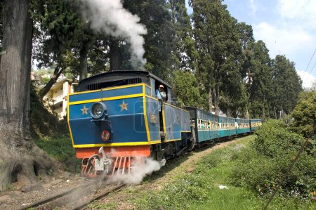 Téléchargez les photos : Train de jouets sur la voie à Coonoor ; Kerala ; Inde - en image libre de droit