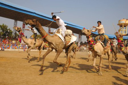 Foto de Carreras de camellos en la feria de Pushkar, Rajastán, India - Imagen libre de derechos