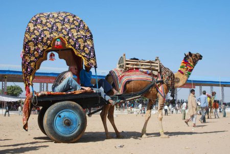 Téléchargez les photos : Chariot de chameau décoré ; Foire de Pushkar ; Rajasthan ; Inde - en image libre de droit