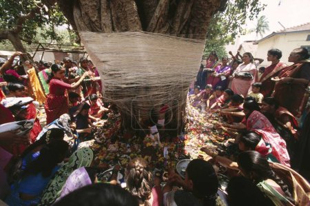 Téléchargez les photos : Femmes adorant l'arbre sacré de chauve-souris, le festival de Vat Savitri ou le festival de Vat Pournima, trambkeshwar, nasik, maharashtra, Inde - en image libre de droit