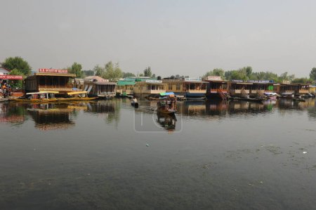 Dal lake, Srinagar, jammu Kashmir, india, asia