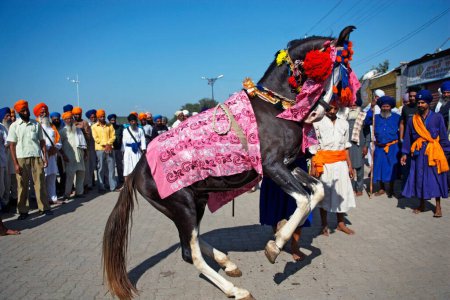 Téléchargez les photos : Nihang ou guerrier sikh montre la danse du cheval Maharashtra, Inde - en image libre de droit