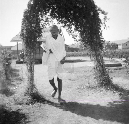 Photo for Mahatma Gandhi coming from a bath two hours before starting his fast at Rashtriyashala Ashram, Rajkot, March 1939, India - Royalty Free Image