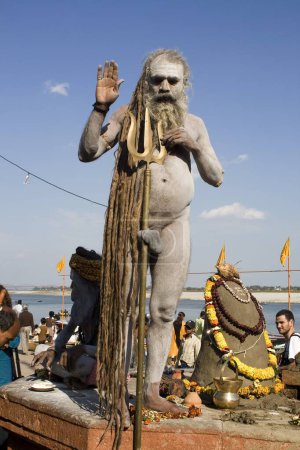 Hindu saint naga baba Shivdasgiri warping penis in trishul rod in Varanasi on Ganga river ; Uttar Pradesh ; India MR707A