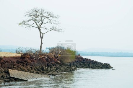 Foto de Vista de la playa desde el fuerte de Terekhol; Vengurla; Sindhudurgh; Maharashtra; India - Imagen libre de derechos