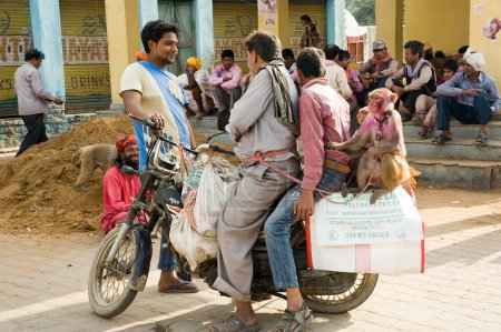 Téléchargez les photos : Madari et singe assis sur des motos, mathura, uttar pradesh, Inde, asie - en image libre de droit