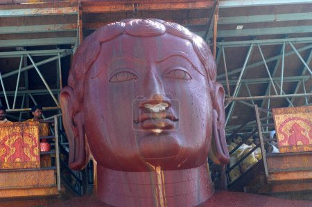 Vermillion covered face of 57 feet high statue of lord Bahubali known as Gomateshvara in Mahamasthakabisheka celebration ; Sravanabelagola in Hassan district of Karnataka ; India