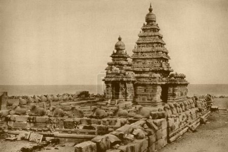 Photo for Old vintage 1900s Shore Temple, Mahabalipuram, Kancheepuram, Tamil Nadu, India, Asia - Royalty Free Image