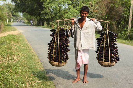 Téléchargez les photos : Homme portant brinjals solanum melongena sur l'épaule, Assam, Inde - en image libre de droit