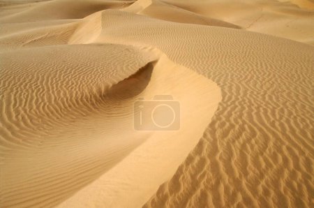 Sand ; Dunes ; Khudi ; Jaisalmer ; Rajasthan ; India