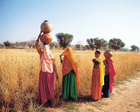 Photo for Woman carrying water pot, rajasthan, india, asia - Royalty Free Image