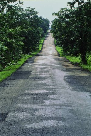Photo for Road at Malshej Ghat, Maharashtra, India, Asia - Royalty Free Image