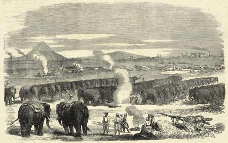 Téléchargez les photos : Peinture miniature, camp d'éléphants, raneegunje XIXe siècle Ranigunj Inde du Nord XIXe siècle - en image libre de droit