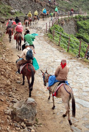 Foto de Camino a Kedarnath doli yatra, Uttaranchal Uttarakhand, India - Imagen libre de derechos