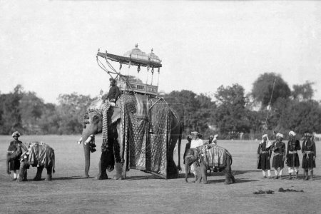 Foto de Foto vintage de elefantes, Jaipur, Rajastán, Asia, India, 1900 - Imagen libre de derechos